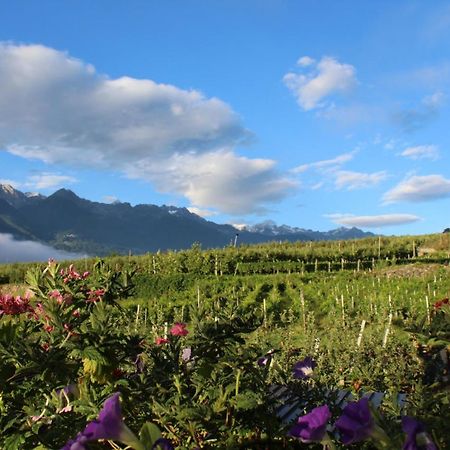La Vita In Campagna Villa di Tirano Exterior foto