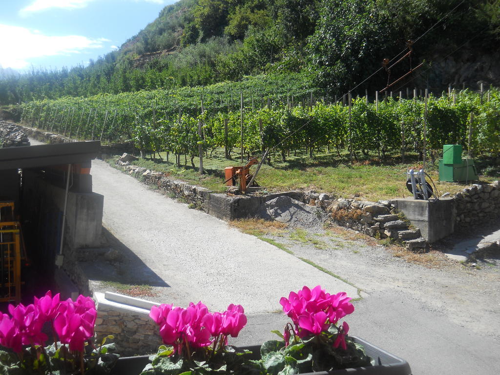 La Vita In Campagna Villa di Tirano Exterior foto